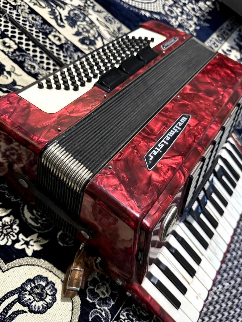 akkordeon - Sakar - img 2