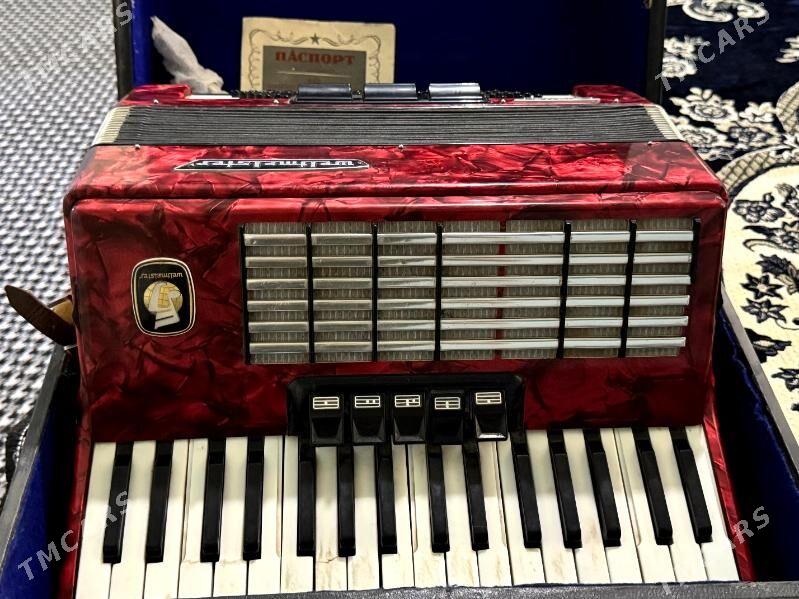 akkordeon - Sakar - img 7