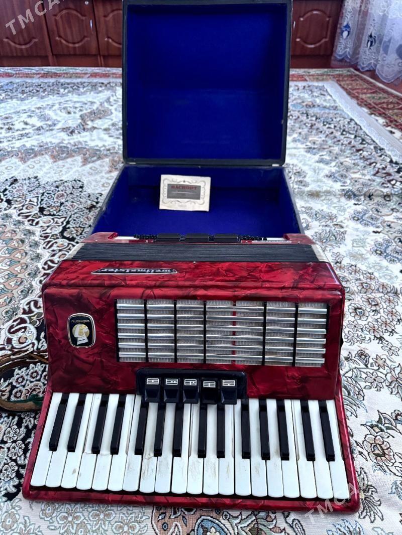 akkordeon - Sakar - img 6