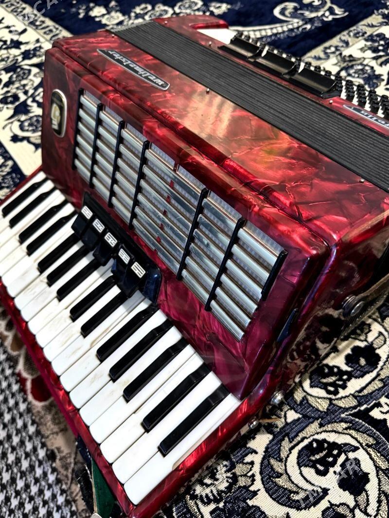 akkordeon - Sakar - img 4