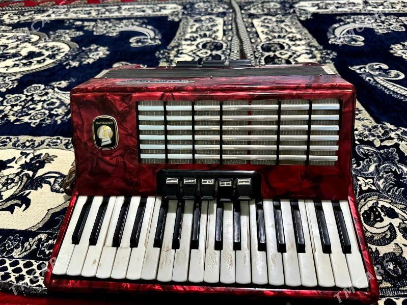 akkordeon - Sakar - img 3