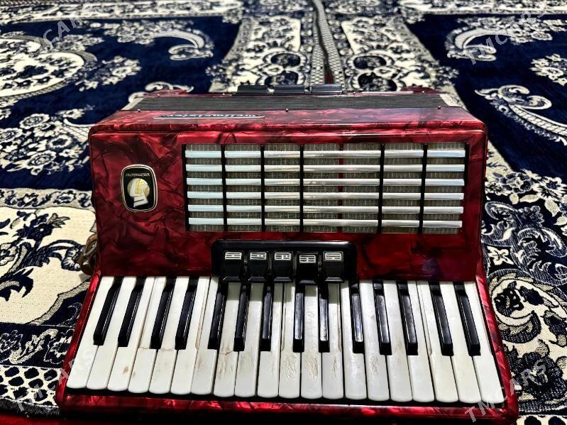 akkordeon - Sakar - img 5