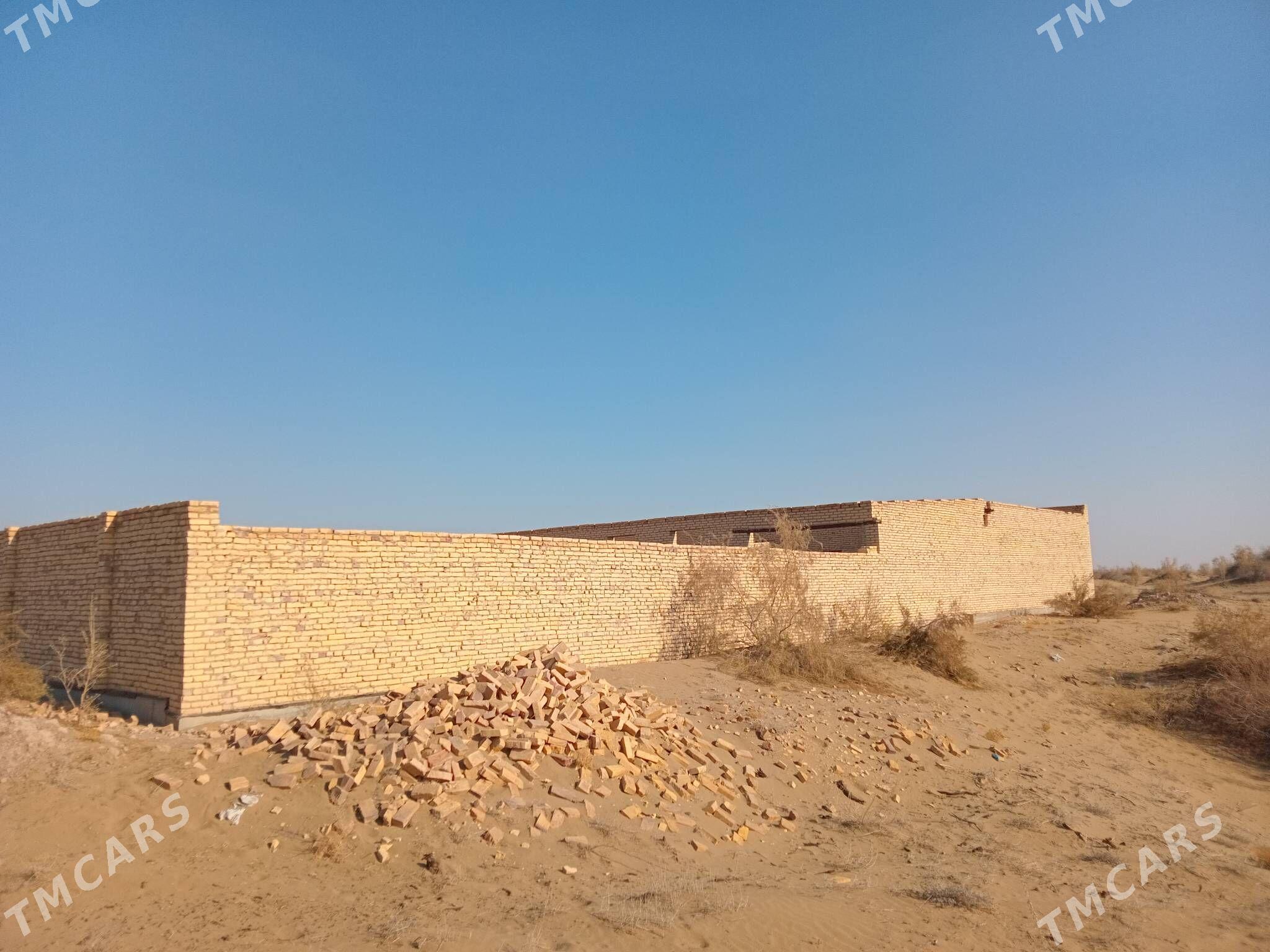 Çöl mellek - Сакар - img 7