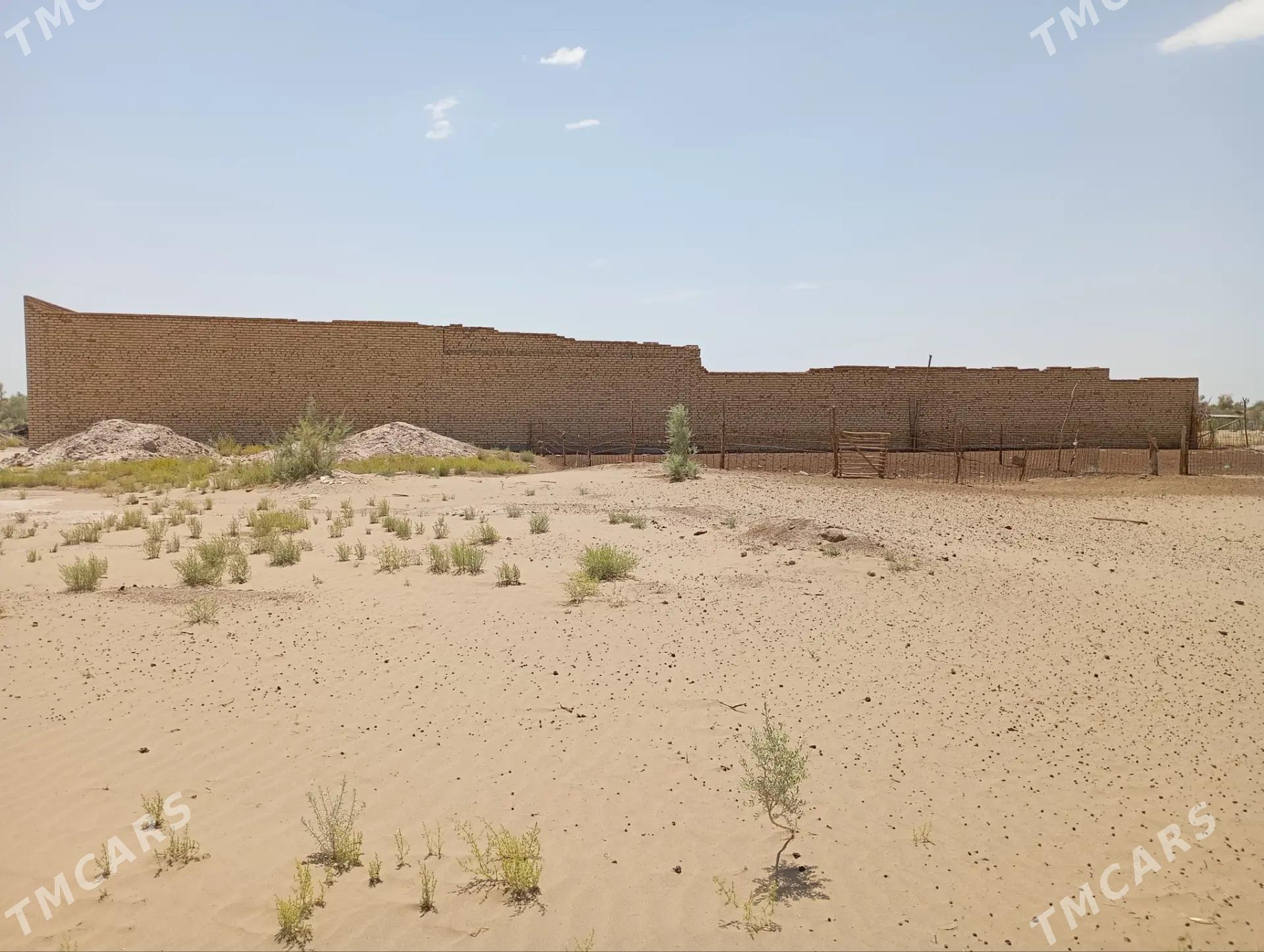 Çöl mellek - Сакар - img 6