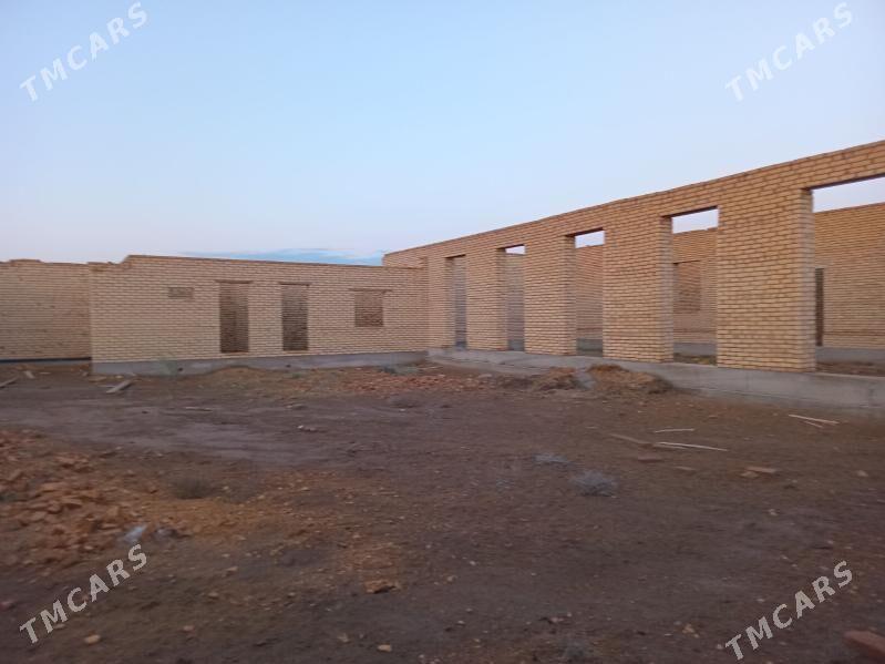 Çöl mellek - Сакар - img 5