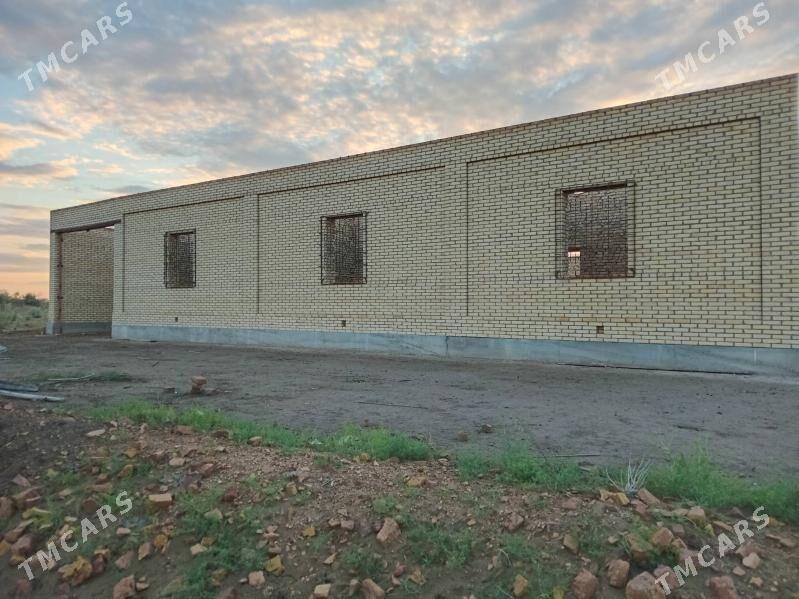 Çöl mellek - Сакар - img 3