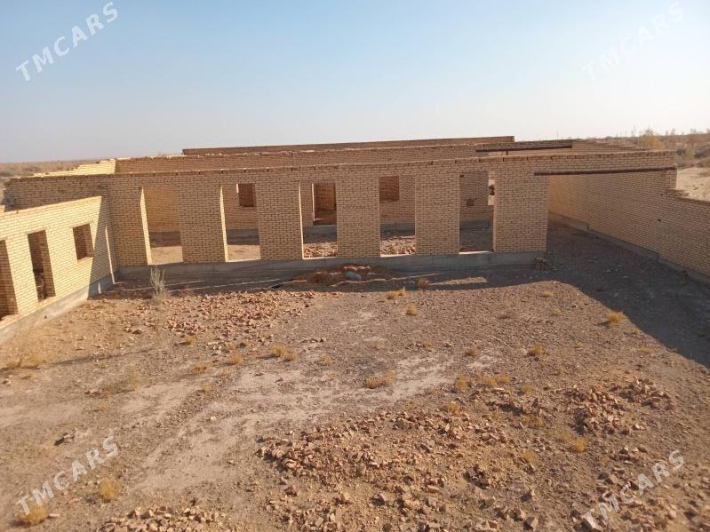 Çöl mellek - Сакар - img 8