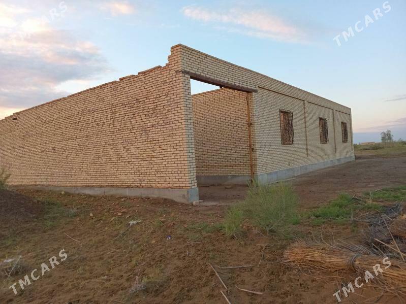 Çöl mellek - Сакар - img 2