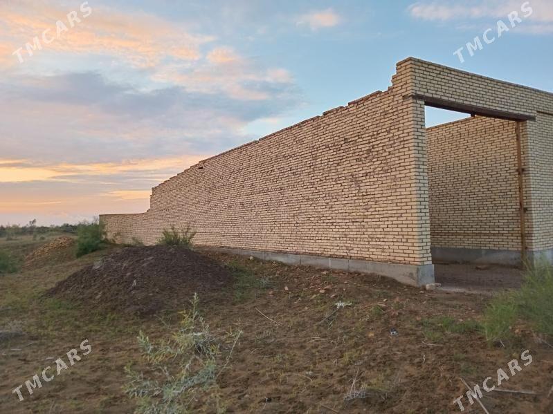 Çöl mellek - Сакар - img 4