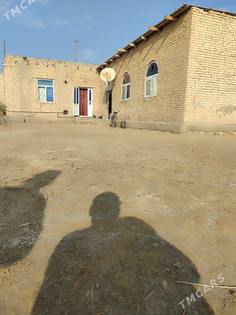 lebap wel - Дянев - img 2