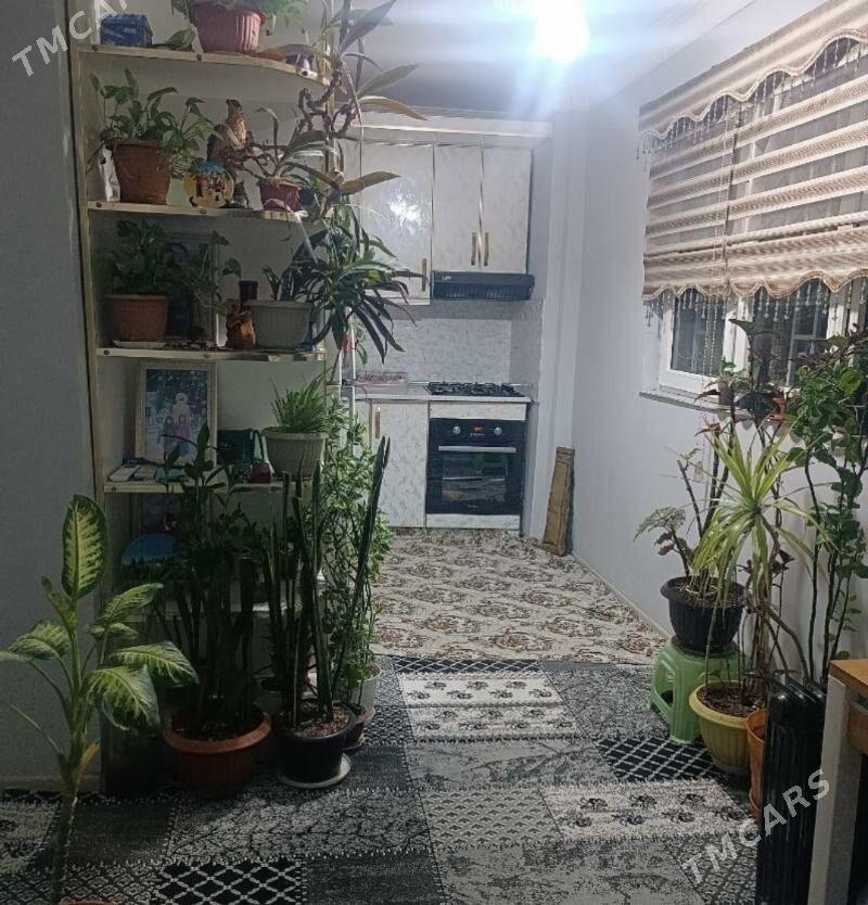 (2740)-30MKR 2-KOMNAT 2-ETAJ BERK KAFE ÝANY RAHMAN - 30 мкр - img 4