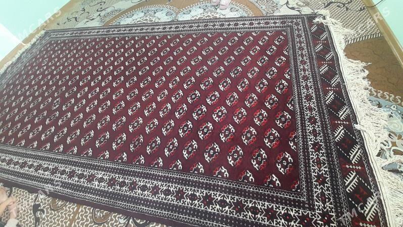 haly tùrkmen - Балканабат - img 5