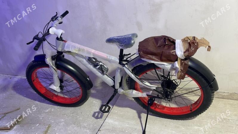 welsapet - Мары - img 2