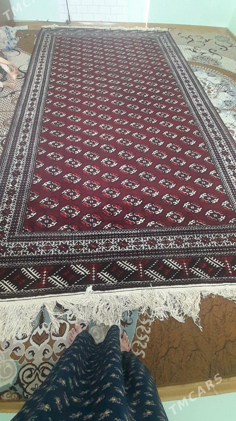 haly tùrkmen - Балканабат - img 4