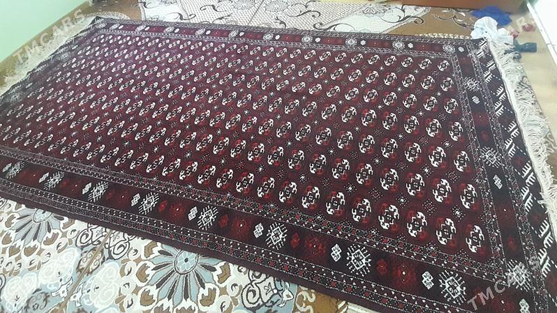 haly tùrkmen - Балканабат - img 2