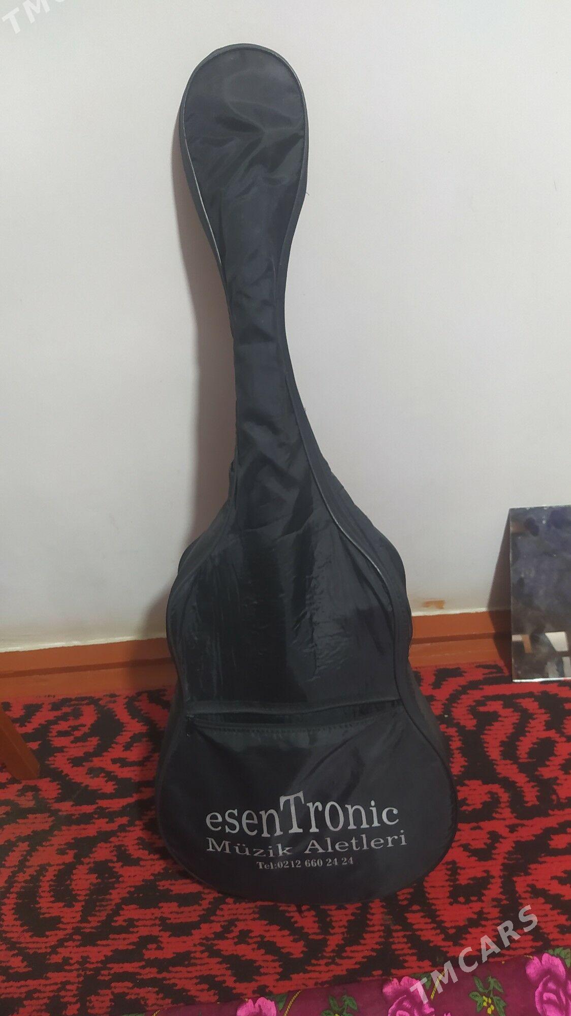 Turkin Gitarasy - Мары - img 3