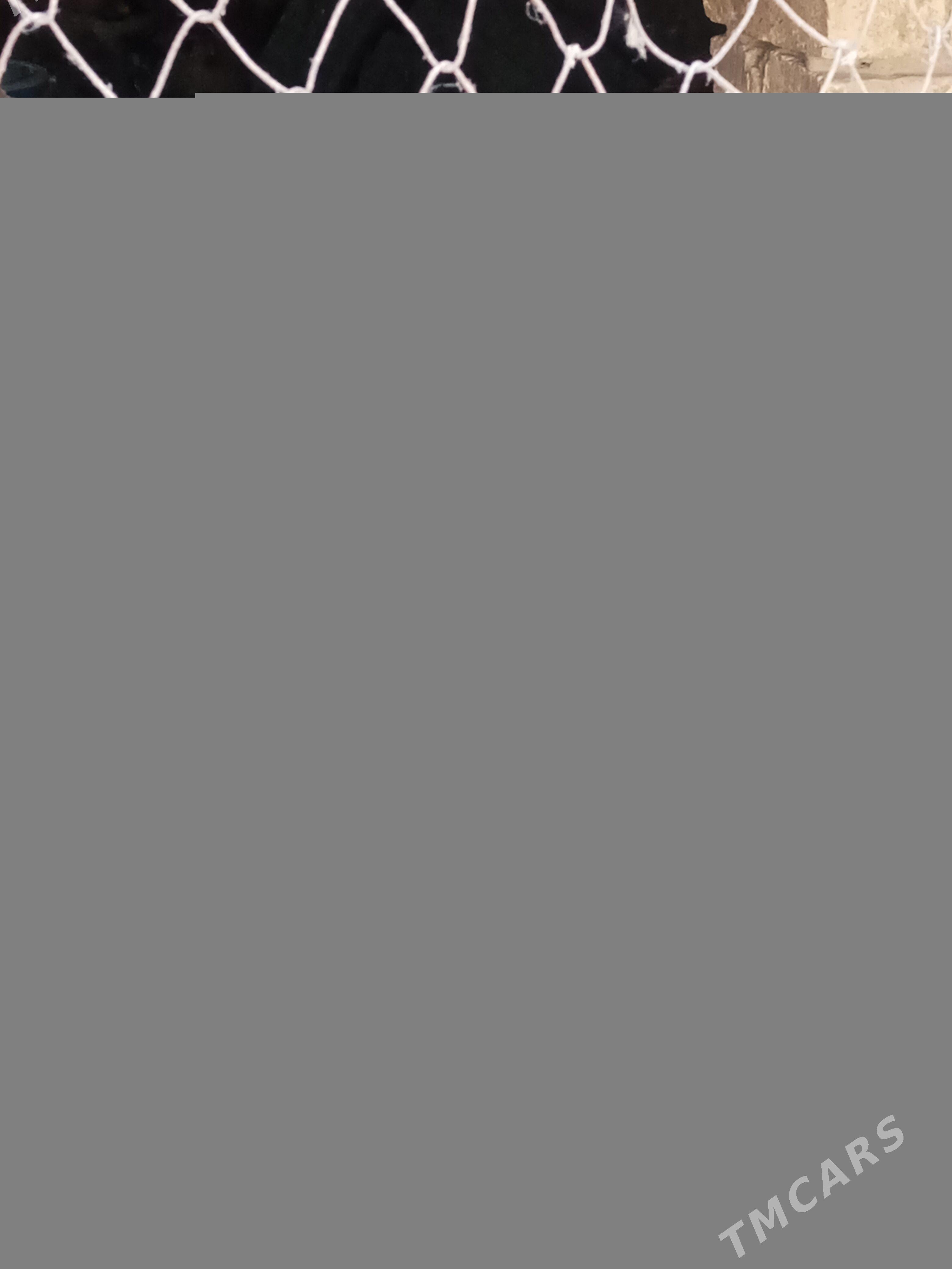 guzlayjy towuk - Тагтабазар - img 9