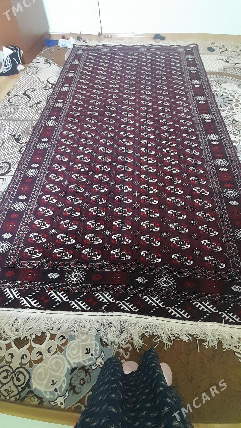 haly tùrkmen - Балканабат - img 3