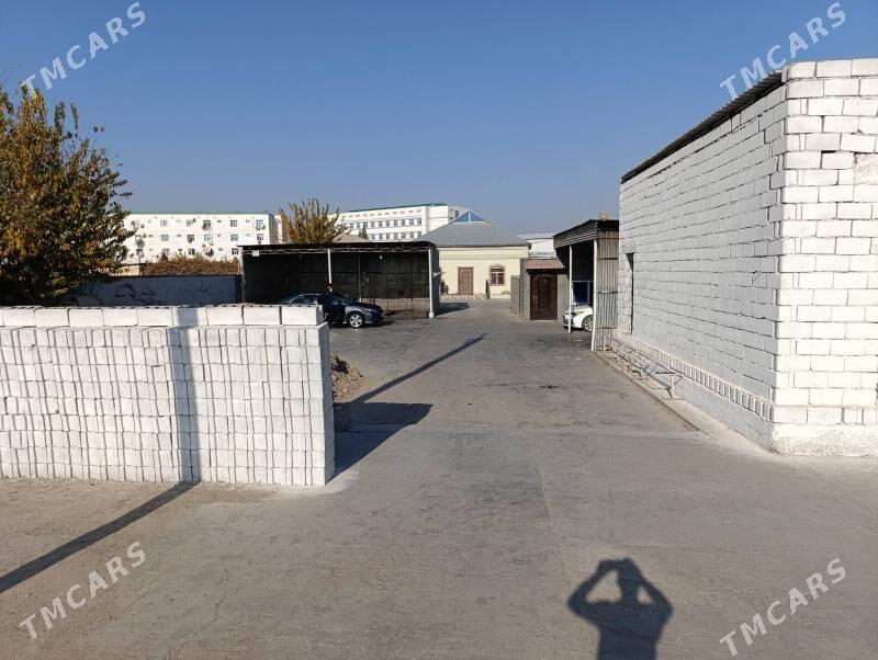 8sotka yer magazin moyka - Mary - img 4