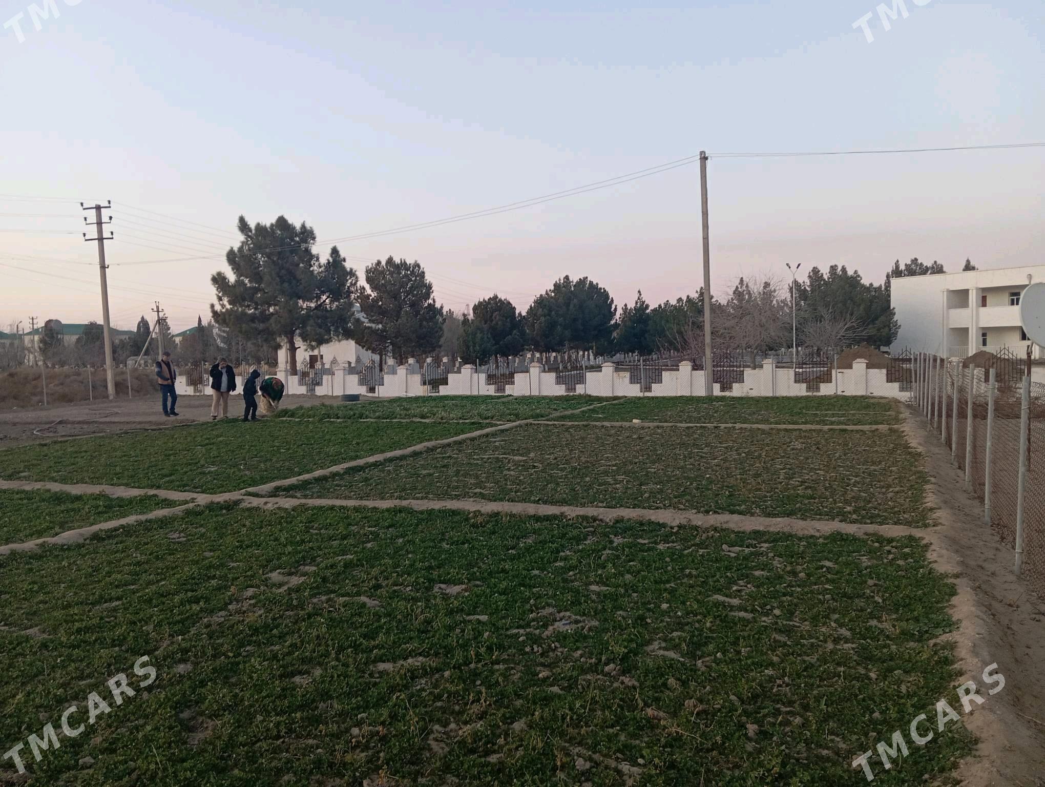 Şatlykda 9 sotk boş mellek yer - Шатлык - img 5