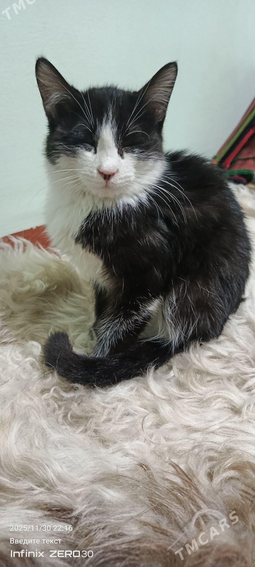 найдёныш мальчик Феликс - Mary - img 3