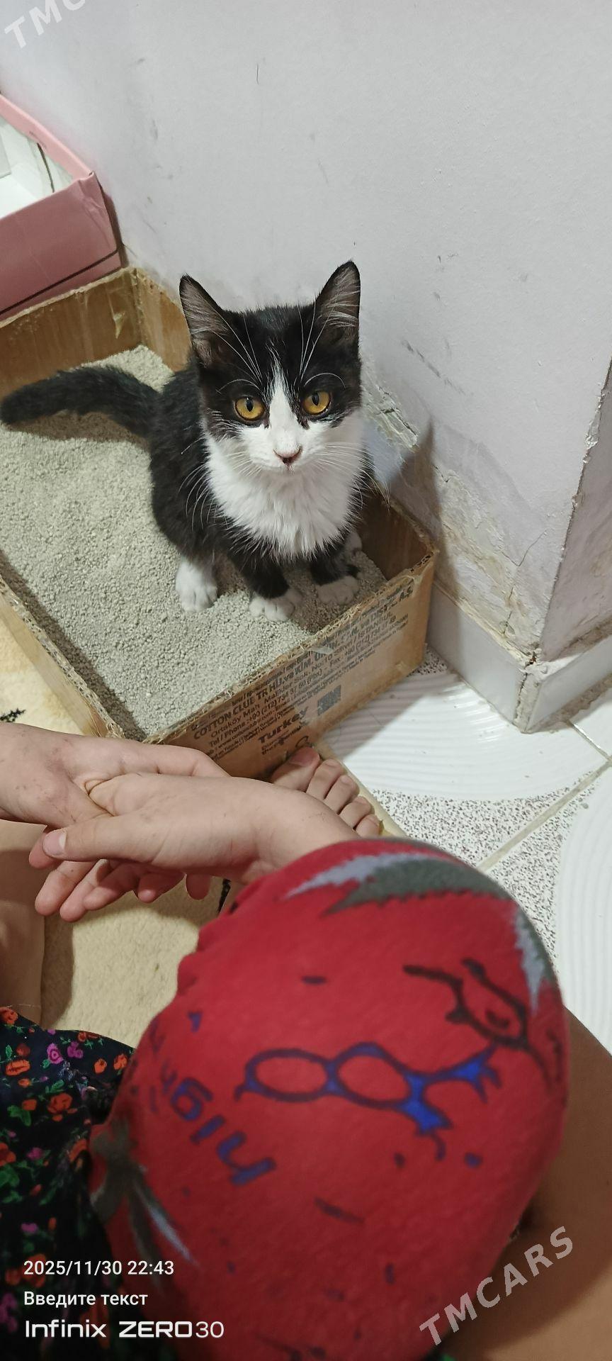 найдёныш мальчик Феликс - Mary - img 2