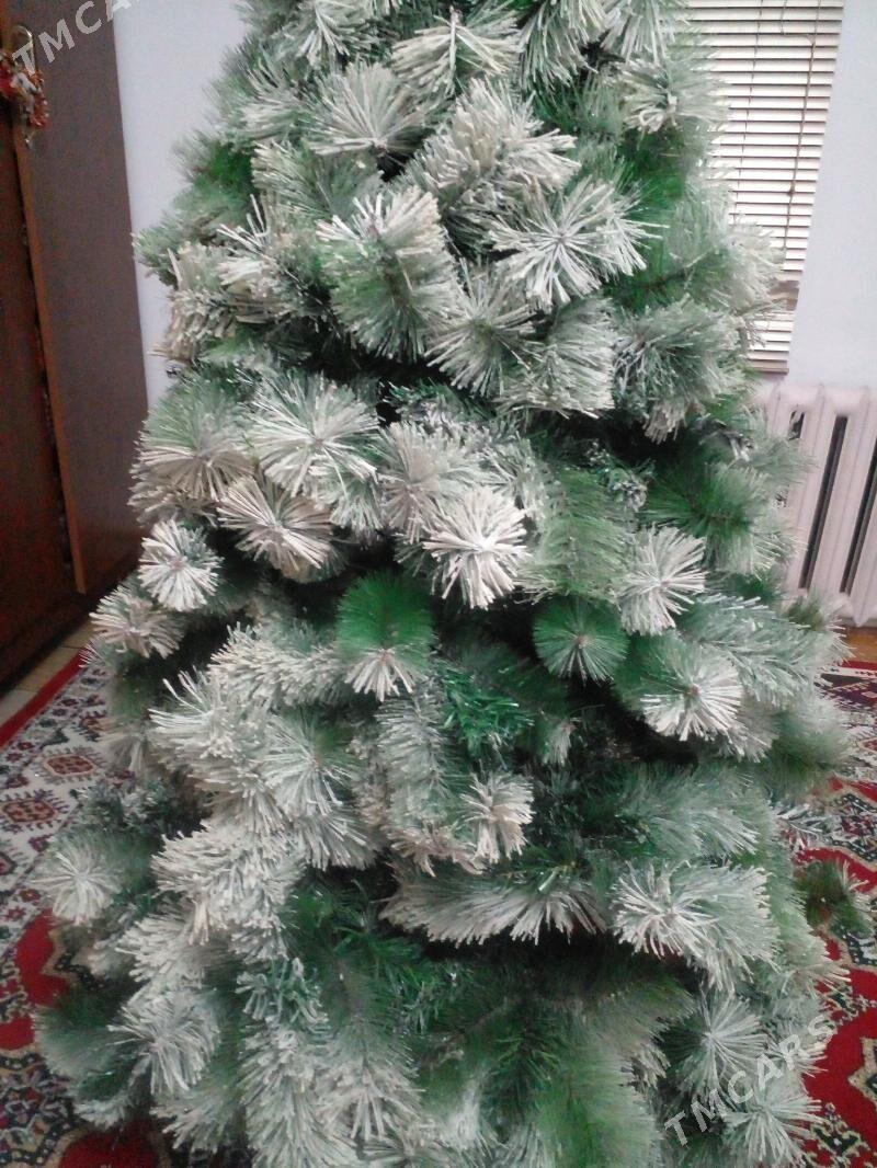 Ёлка Arça - Bäherden - img 2