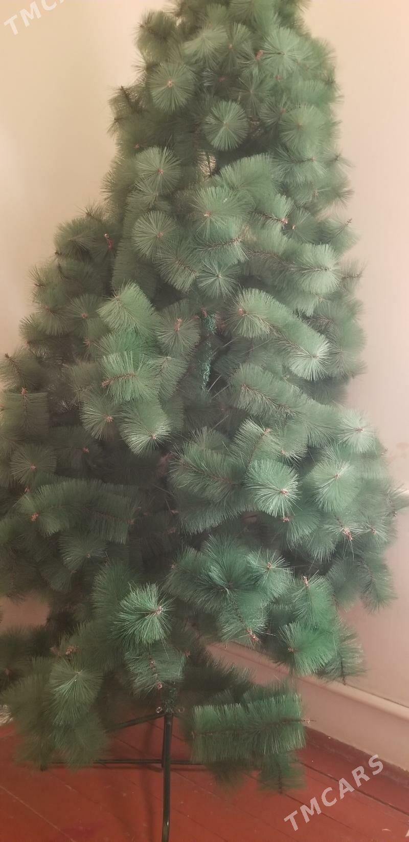 Yolka - Daşoguz - img 2