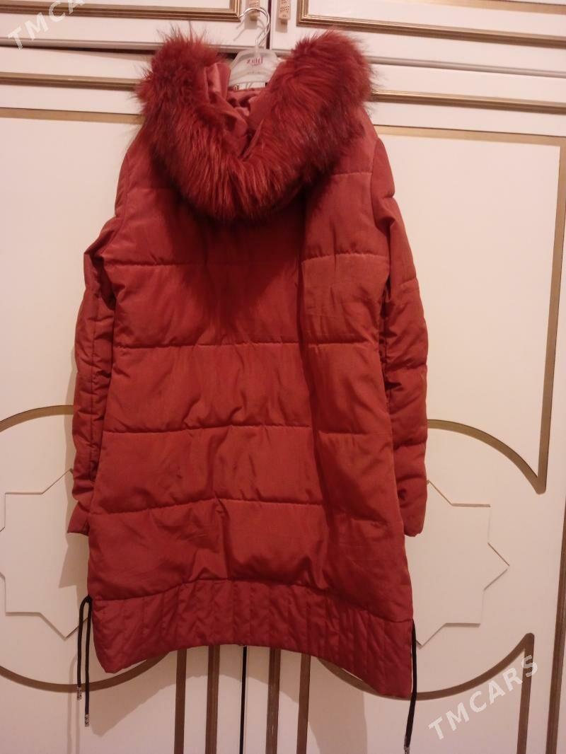 kurtga - Чоганлы - img 1