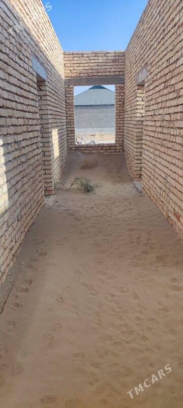 Melek jay - Türkmenabat - img 6