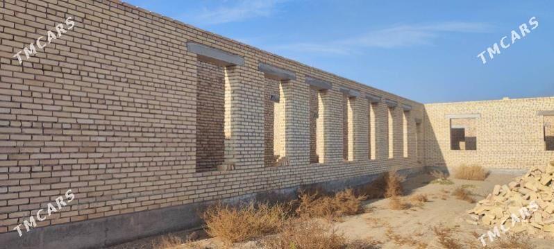 Melek jay - Türkmenabat - img 8