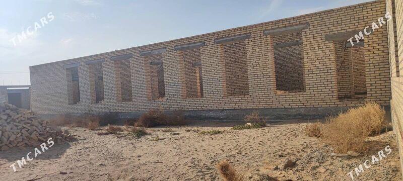 Melek jay - Türkmenabat - img 3