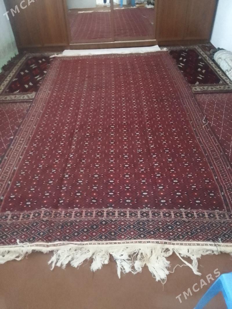 palas - Etrek - img 2