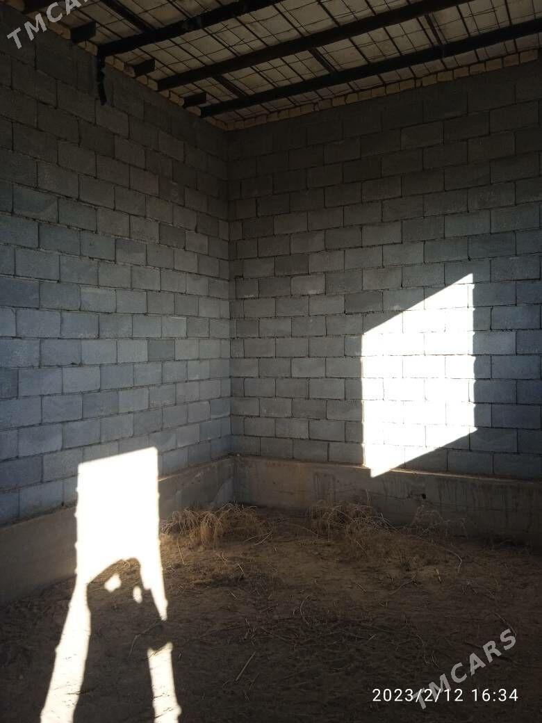 Jay - Ruhubelent etraby - img 3