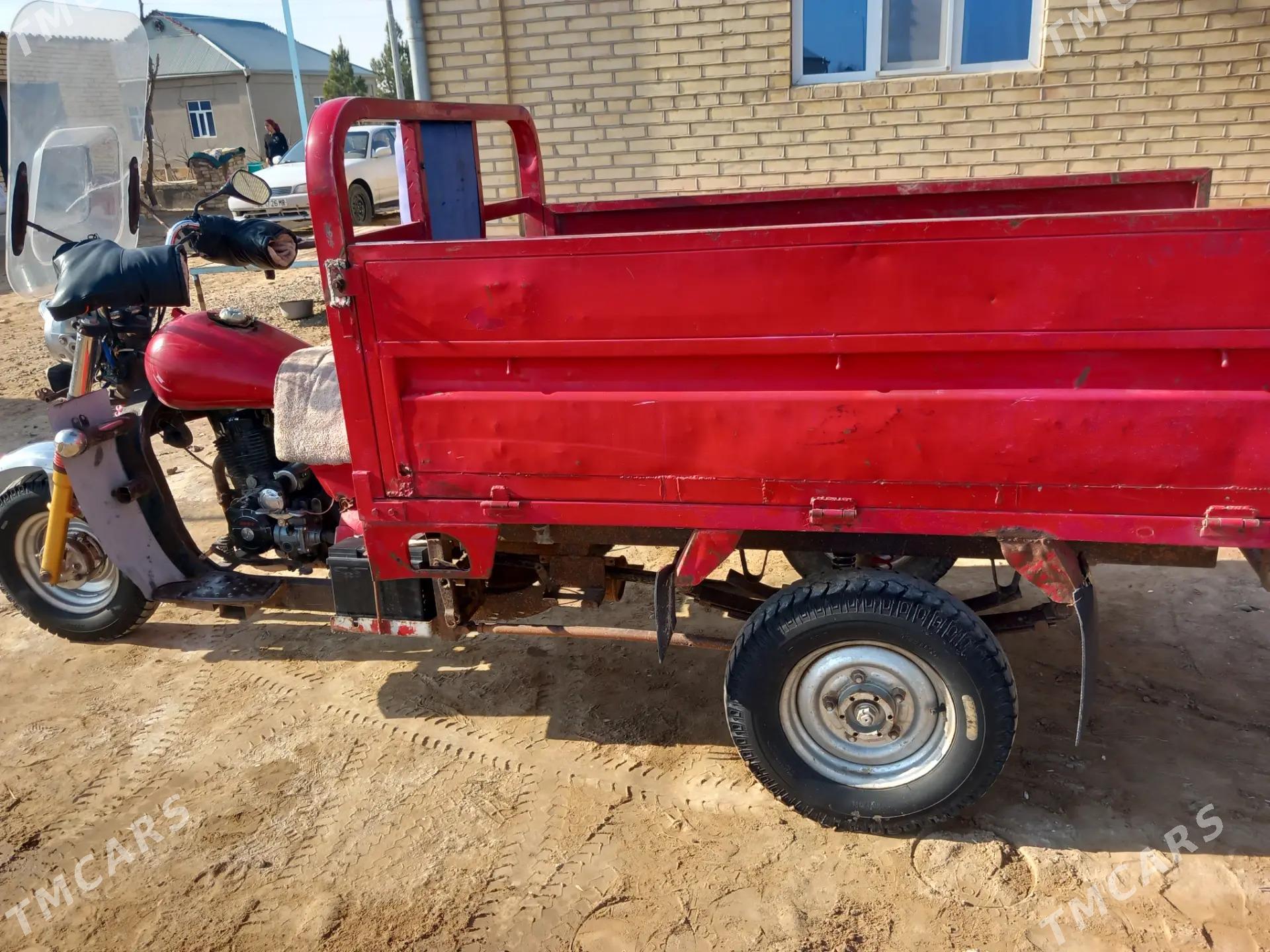 Fekon FK200-14G 2014 - 16 000 TMT - Sakarçäge - img 3