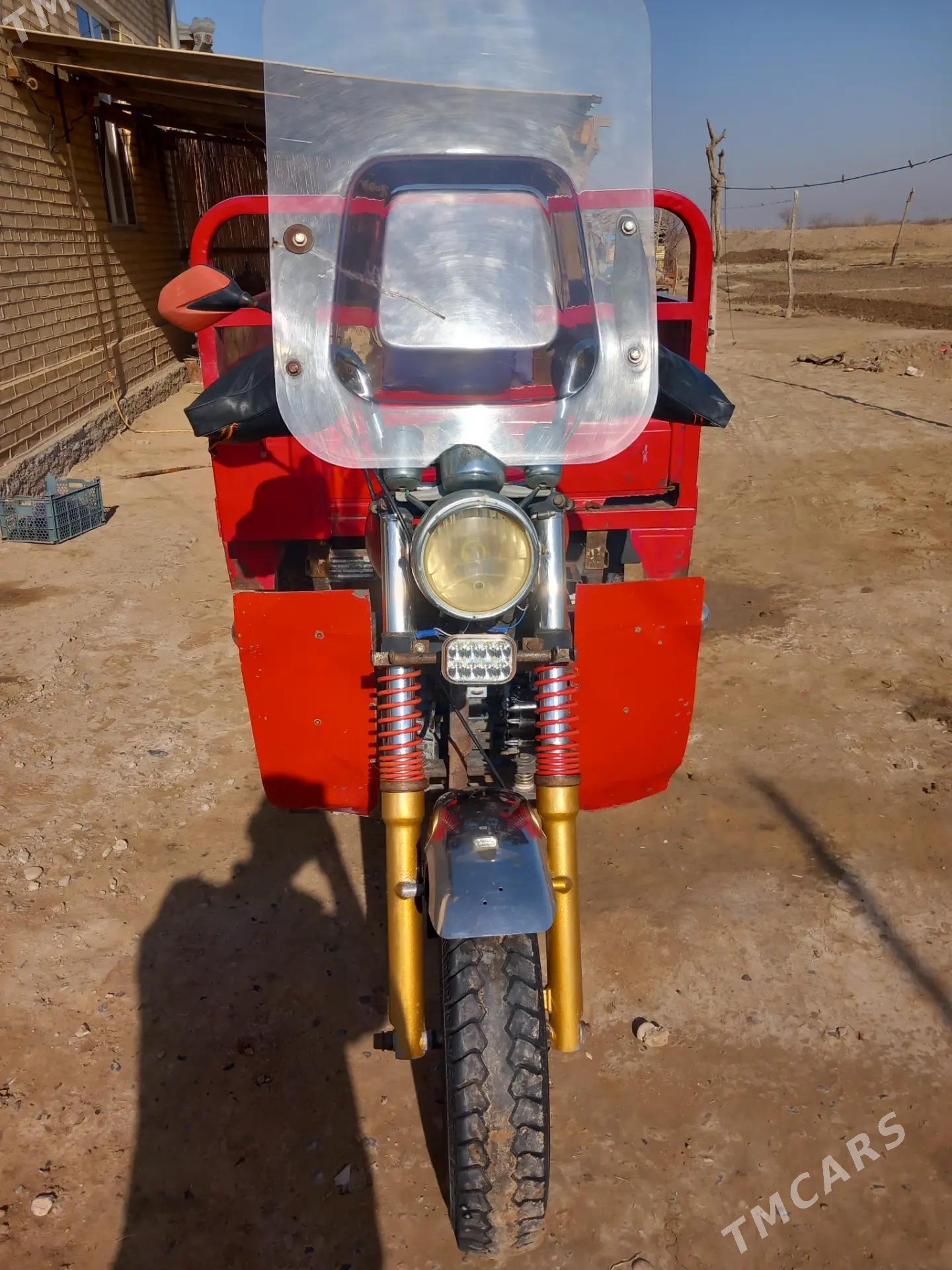 Fekon FK200-14G 2014 - 16 000 TMT - Sakarçäge - img 4