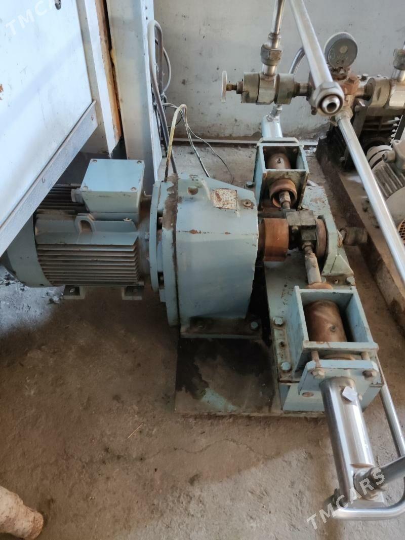 Marožna yasayan aparat - Mary - img 9