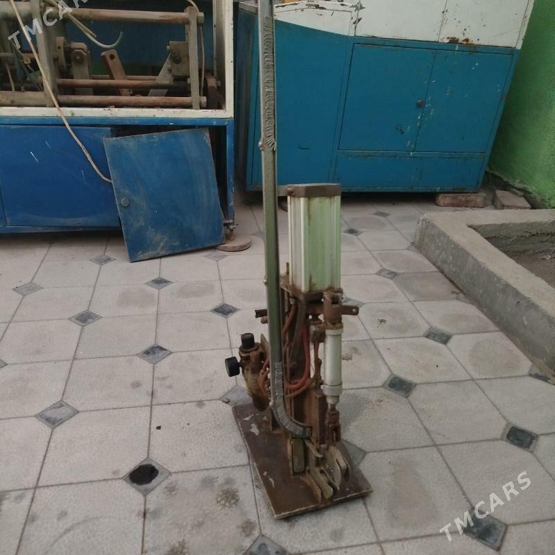 Kalbasa degishli enjam - Mary - img 2