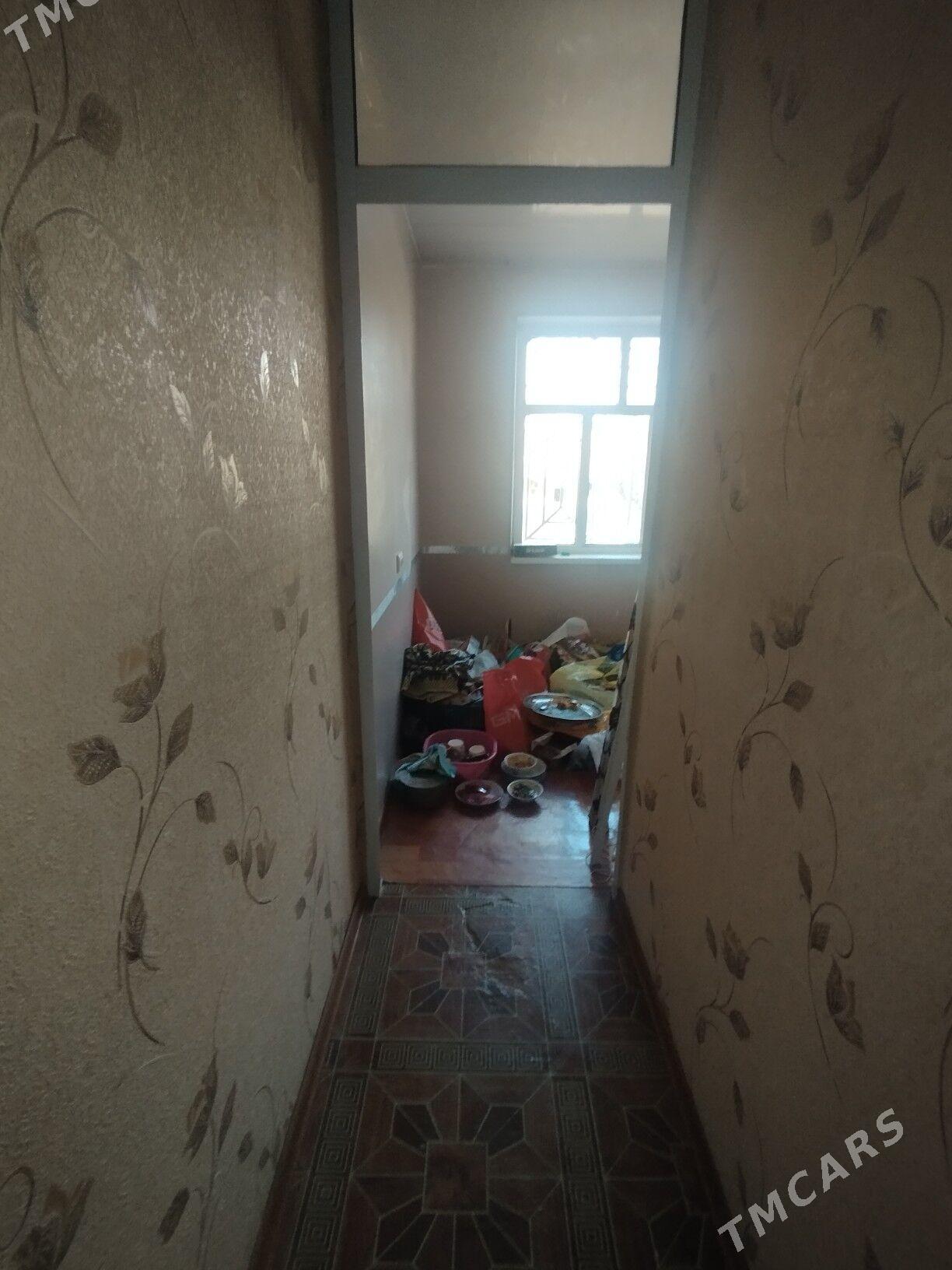 Satlyk jay - Mary - img 2