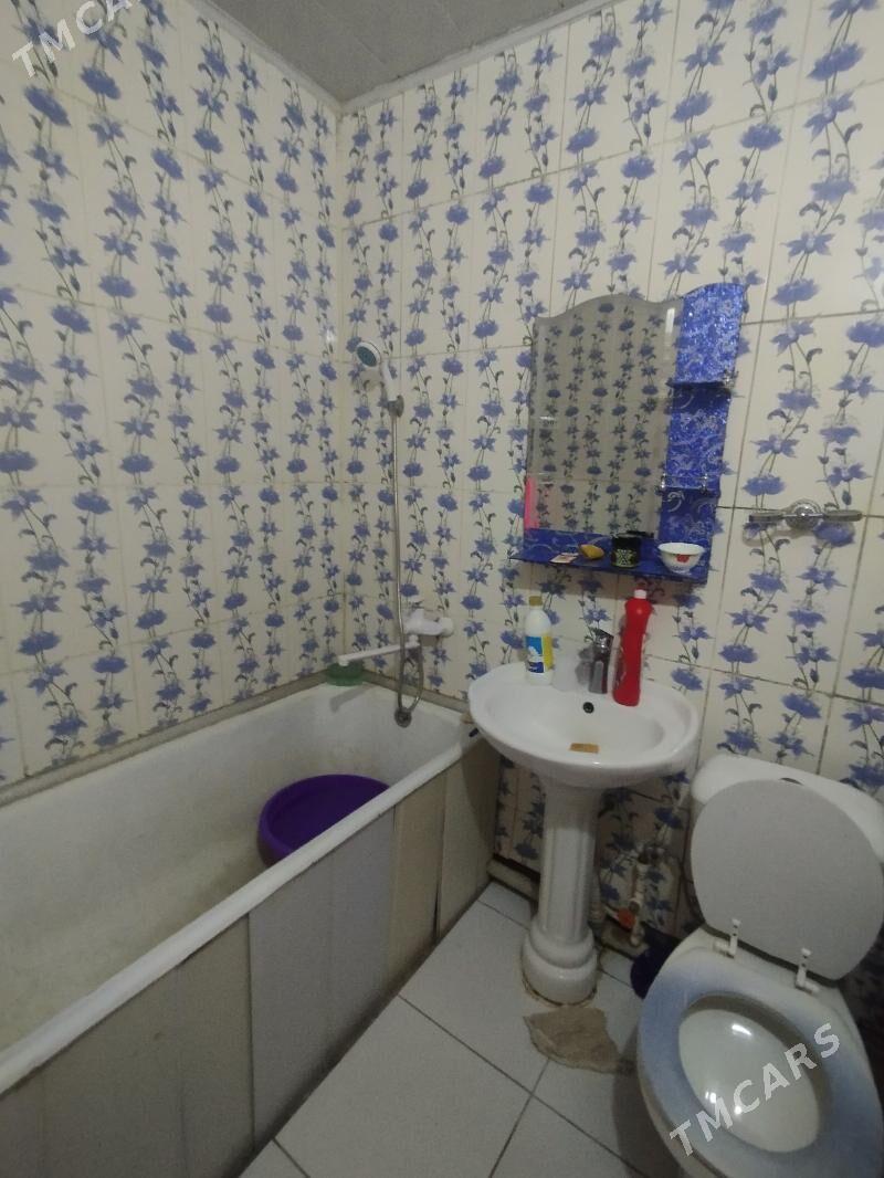 Satlyk jay - Mary - img 6