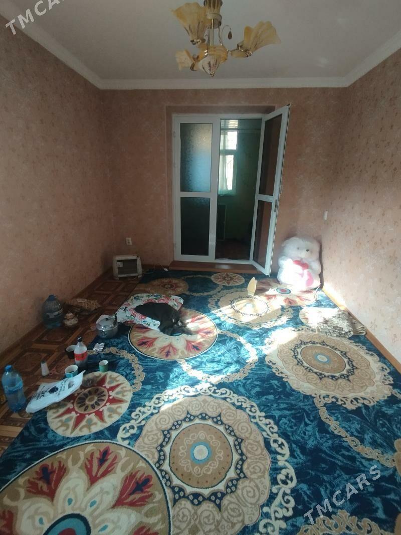 Satlyk jay - Mary - img 3