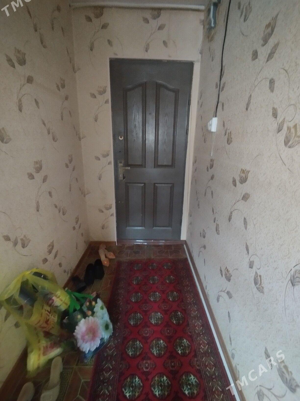 Satlyk jay - Mary - img 5