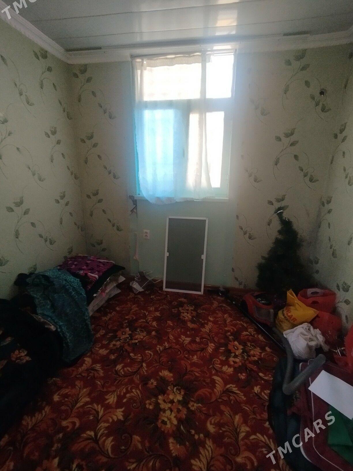 Satlyk jay - Mary - img 4