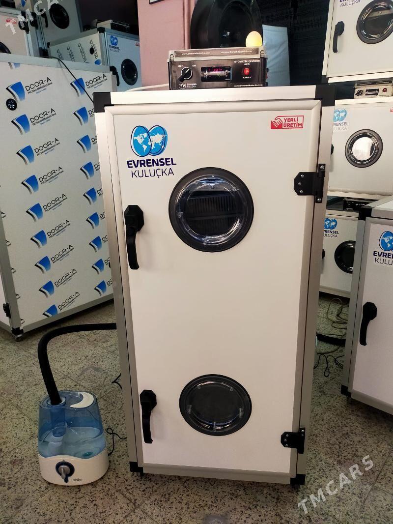 inkubator - Seýdi - img 3