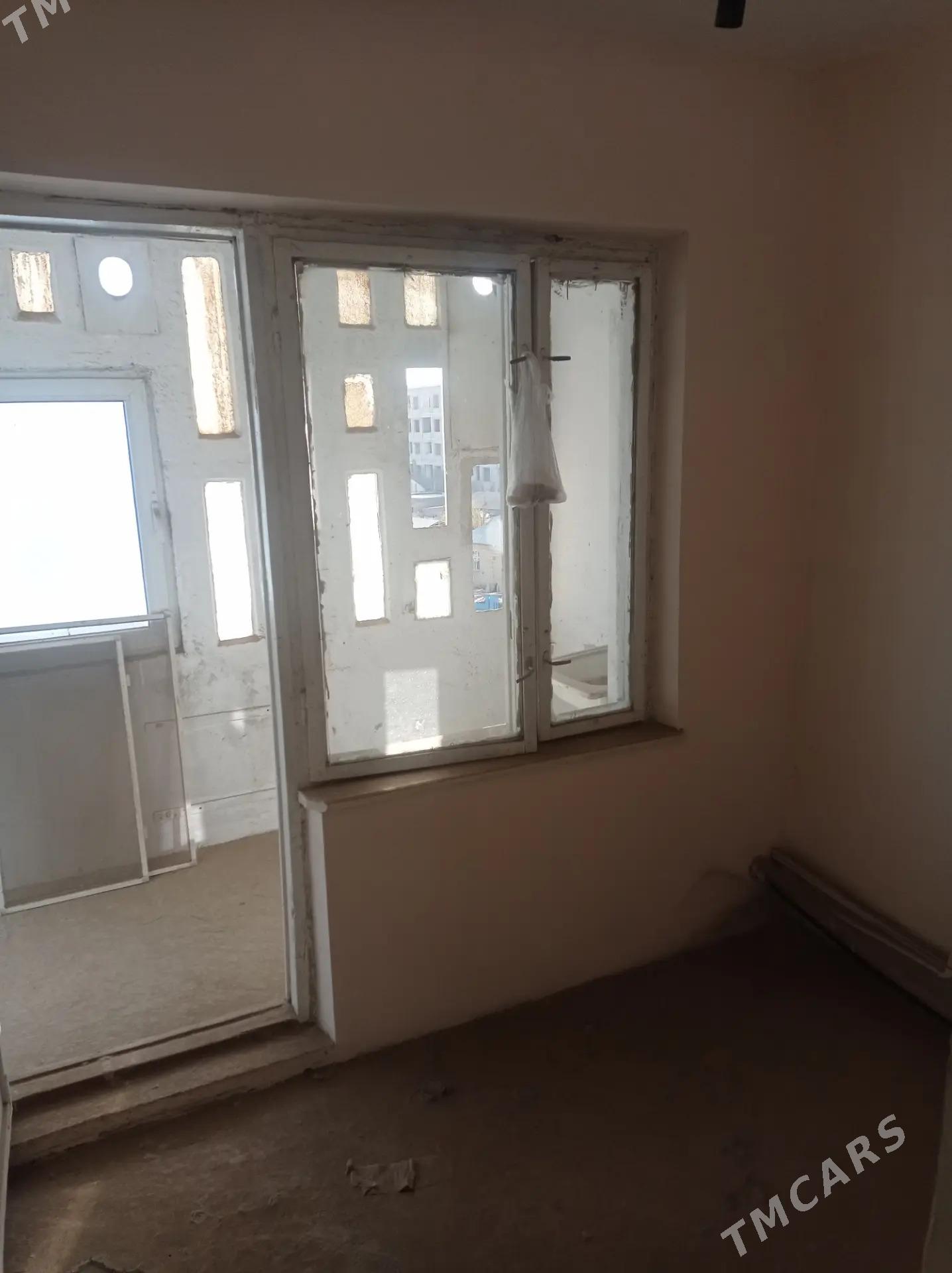 Satlyk jay - Mary - img 3