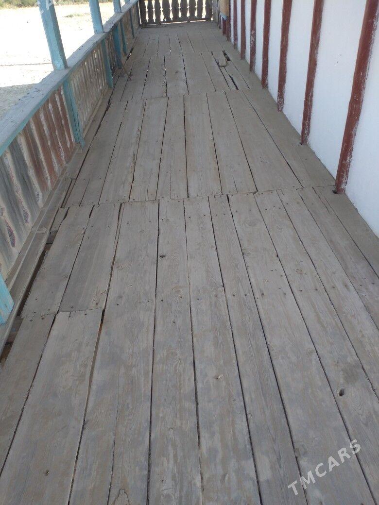 Satlyk jay - Esenguly - img 4