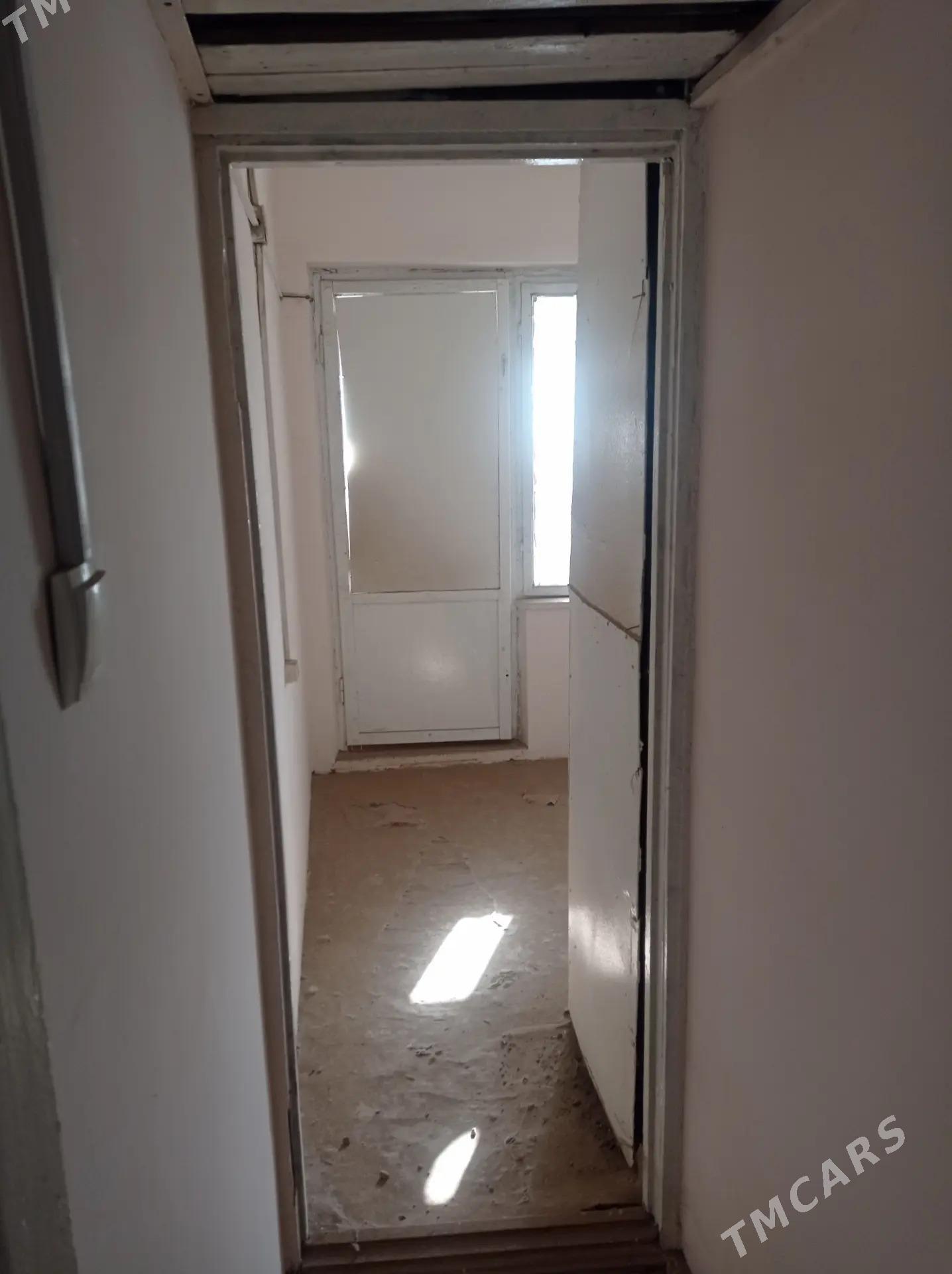 Satlyk jay - Mary - img 4