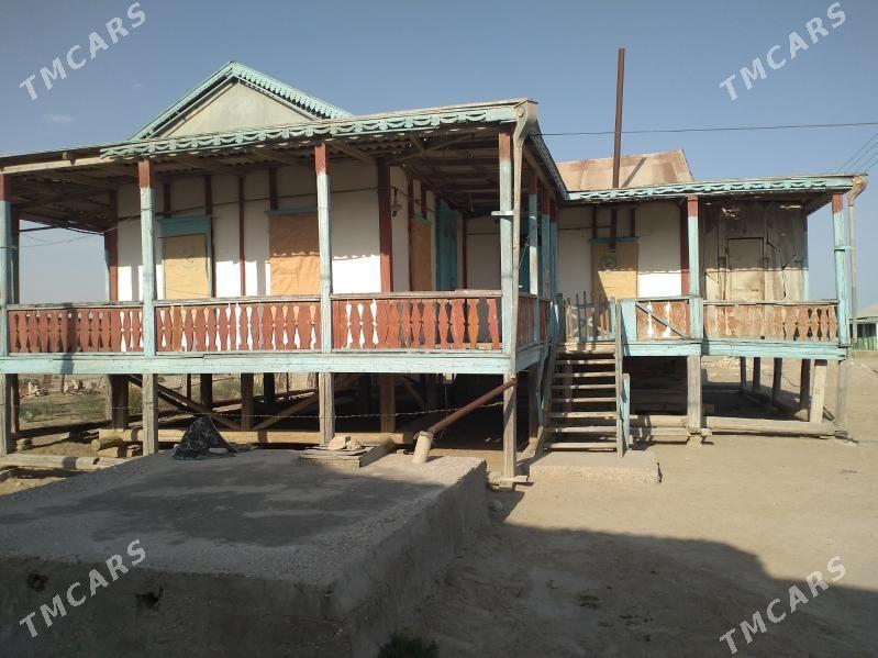 Satlyk jay - Esenguly - img 7