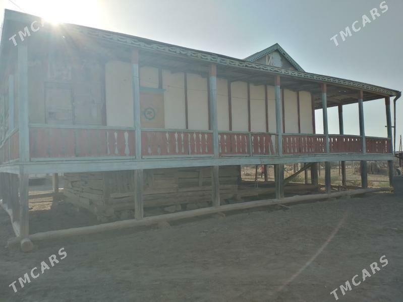 Satlyk jay - Esenguly - img 6