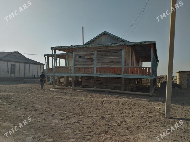 Satlyk jay - Esenguly - img 1